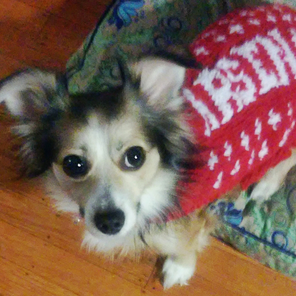 Meet your Posher, Jessica - Picture 2 of 3